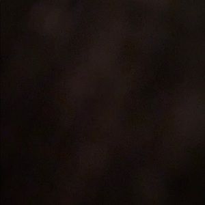 Meet your Posher, Dorian